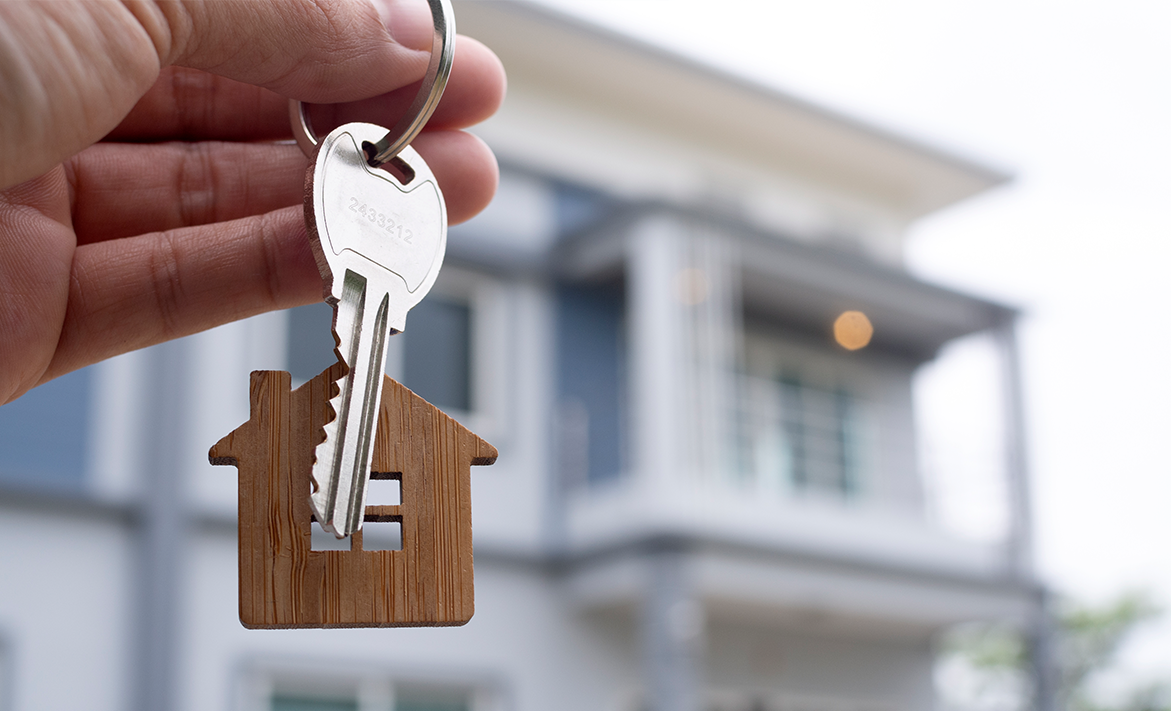 Light and Modern House